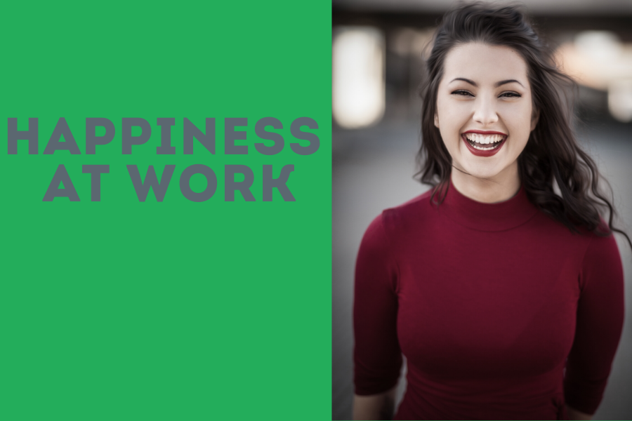 Happiness in the workplace and what influences it?